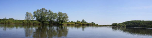 Десна