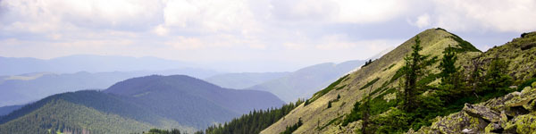 Карпаты. Хомяк